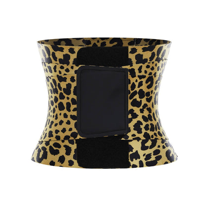 Buy Waist Trainer Belt for Effortless Shaping at Divine Classiques