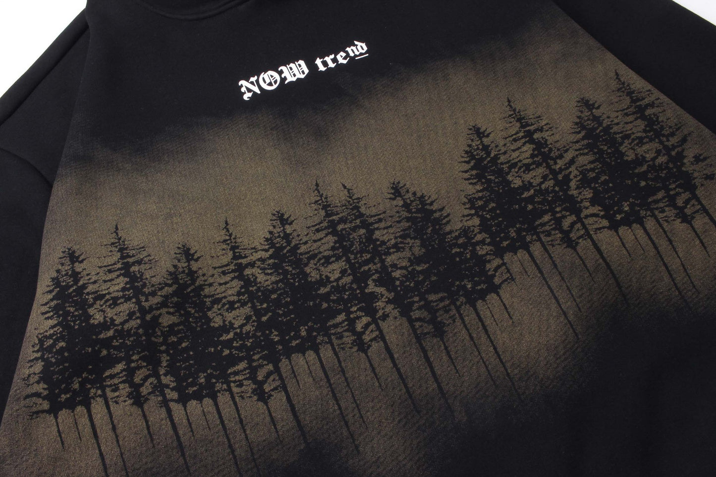 Letter Printing Velvet Padded Hooded Sweatshirt